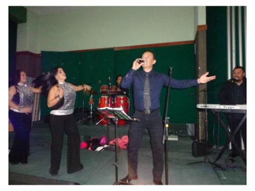 Cantantes profesionales