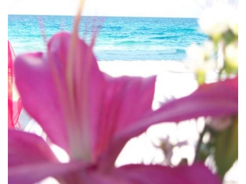 Decoracion de flores