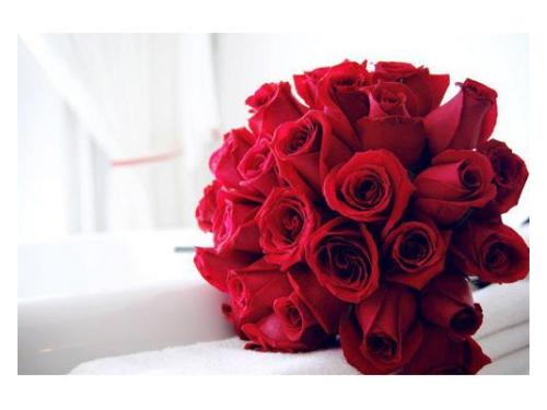 Ramo de novia en rojo