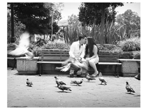 Las mejores fotografías