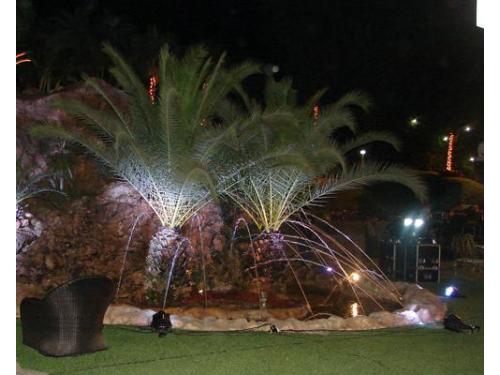 Iluminación y decoración