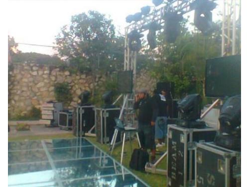 Servicio profesional