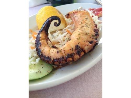 Calidad y frescuara en sus productos