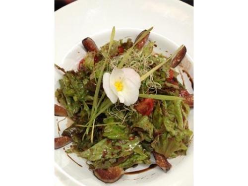 Calidad y frescuara en sus productos