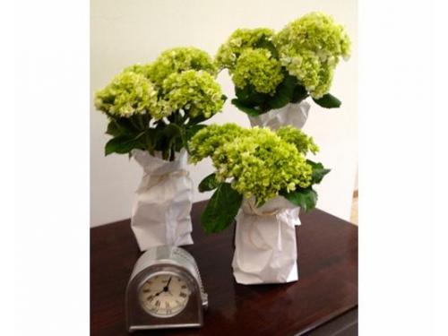 Expertos en flores para bodas