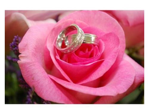 Los anillos de bodas
