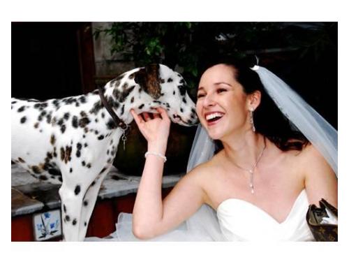 La novia con su perro