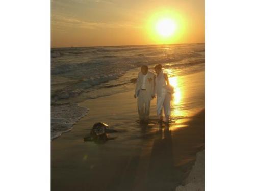 Novios caminando al atardecer