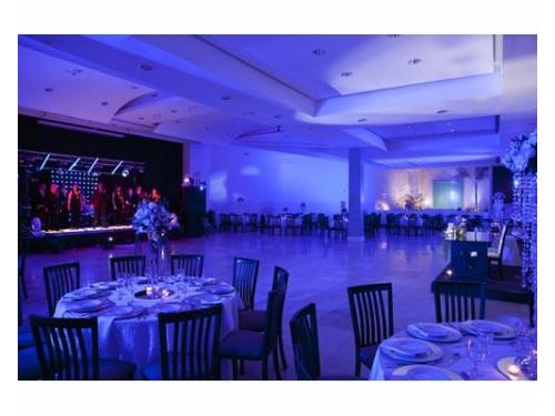 Decoración profesional