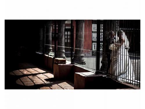 Fotografías de alta calidad