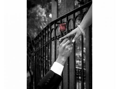 Tu boda en bellas fotos