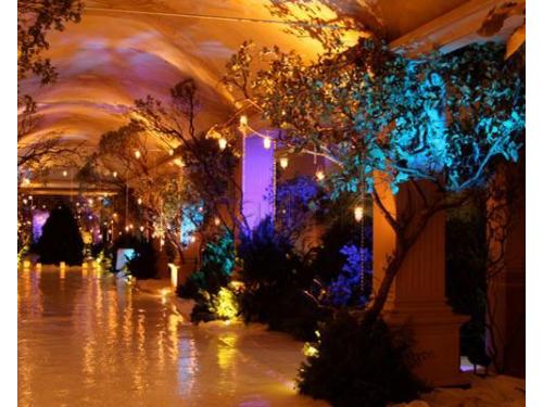 Dale vida a tus espacios