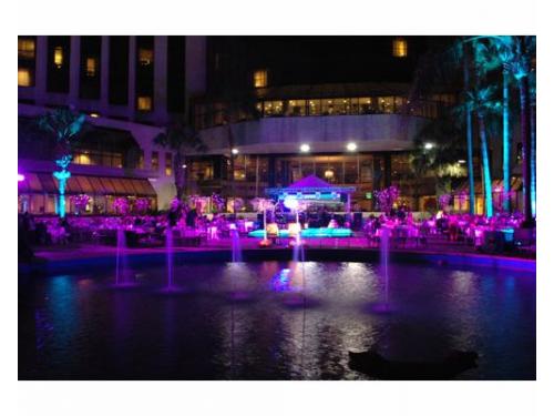 Todos tus invitados reunidos para el bello momento