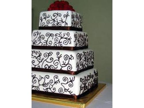 Diversidad de formas