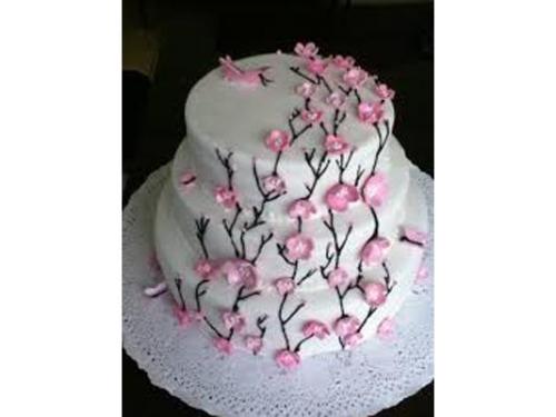 Excelente presentación