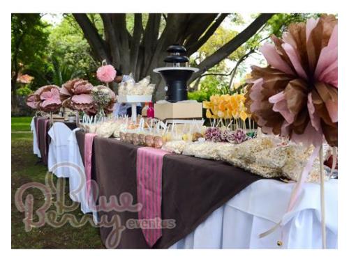 Servicio especializado