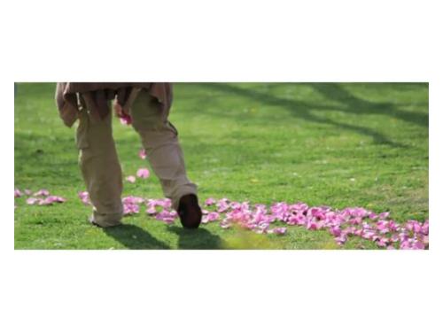 Profesionales en fotografía