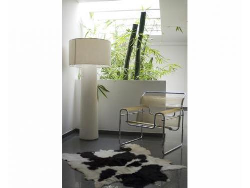 Elegante decoración