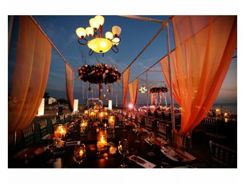 Harán que tu boda sea perfecta