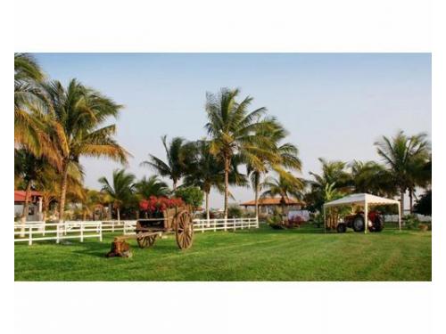 Hermosos jardines para tu boda