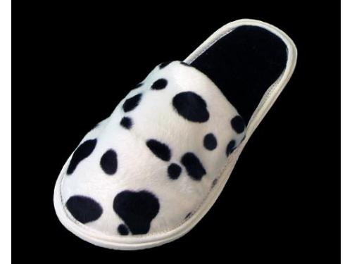 Safari dalmata