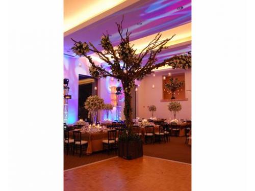 Original decoración con árbol cubierto de flores