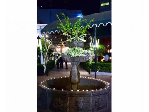 Decoración en la fuente