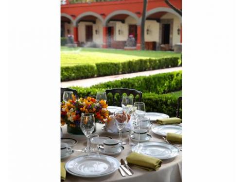 Excelente presentación en la mesa