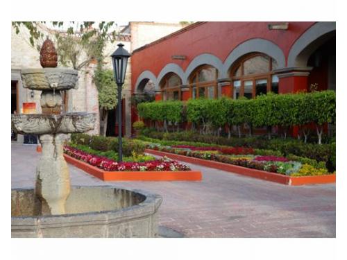 Flores de la hacienda