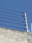 CERCAS ELECTRICAS CERCAS ELECTRICAS