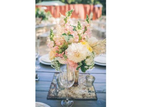 Orquideas floristeria