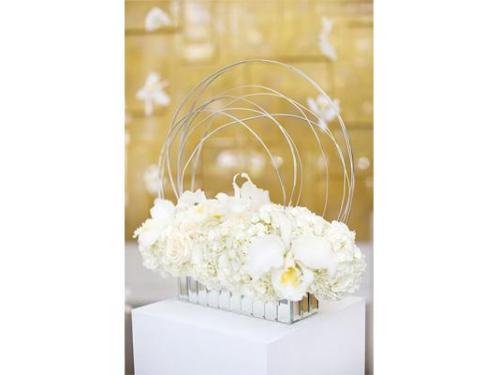 Orquideas floristeria