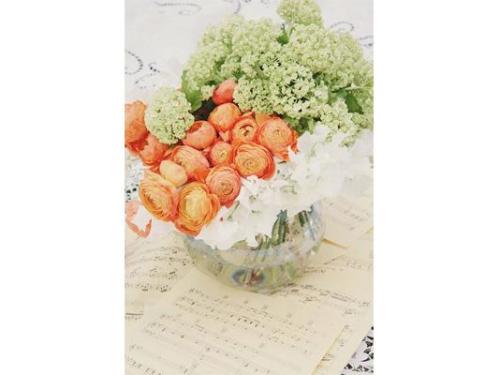 Orquideas floristeria