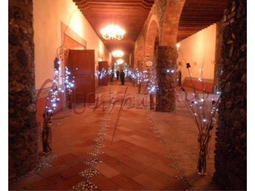 Pasillo con ramas de leds