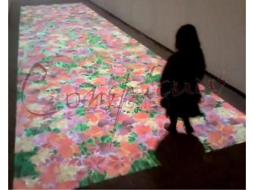 Imágenes mágicas 1