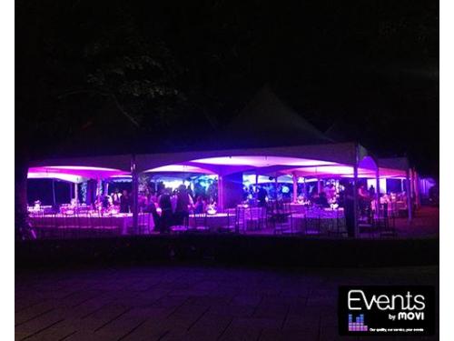 Profesionales a tu servicio