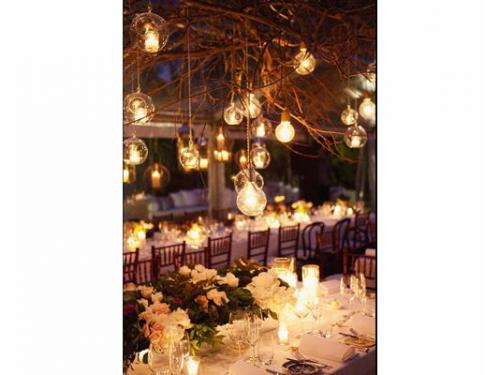 Robinia event planning