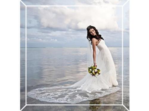 Organizadores de bodas