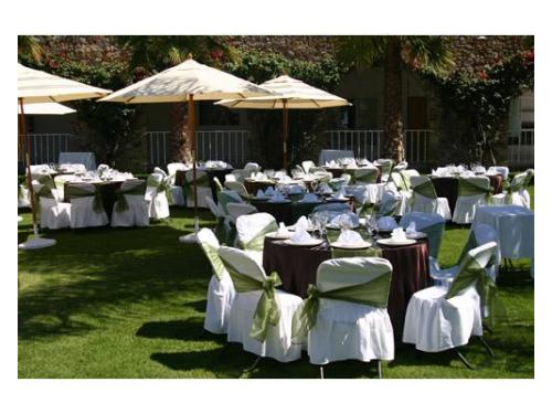 Montaje con carpas en jardín