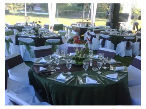 Amplia gama de colores