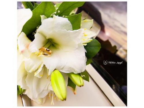 Capturando cada detalle