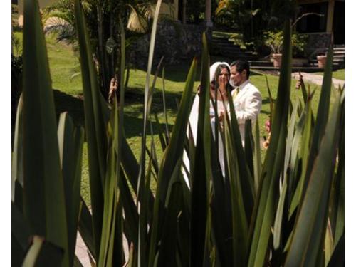 Boda en jardín