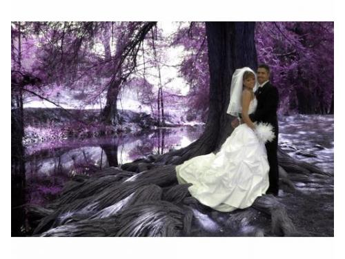 Novio con la naturaleza