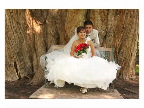 Gran calidad en tus fotos