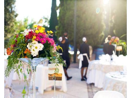 Enfoque en primer plano