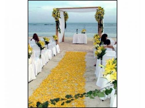 Camino al altar con pétalos