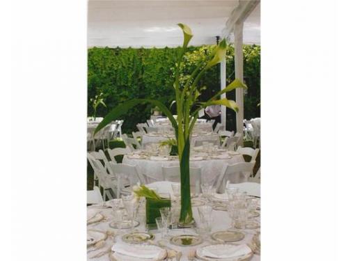 Elegantes centros de mesa