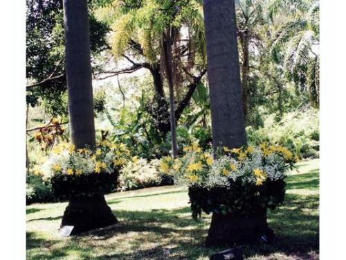 Decoración de espacios