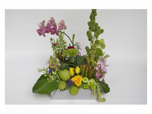 Cuidan cada detalle del diseño