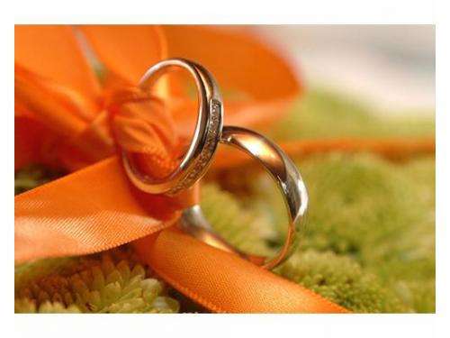 Anillos de los novios